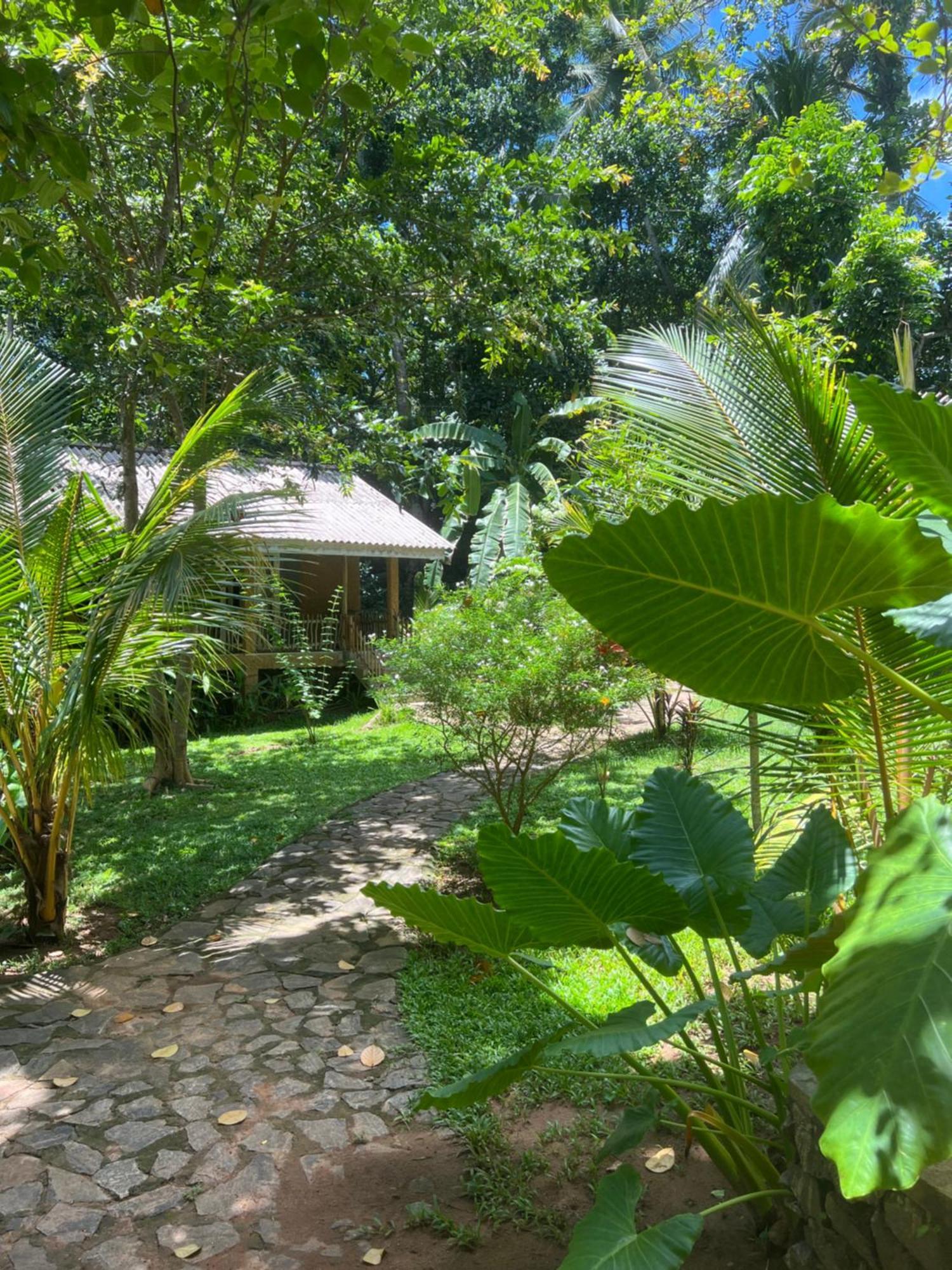 Into The Blue - Yoga Included & Walk To 3 Beaches Tangalle Luaran gambar